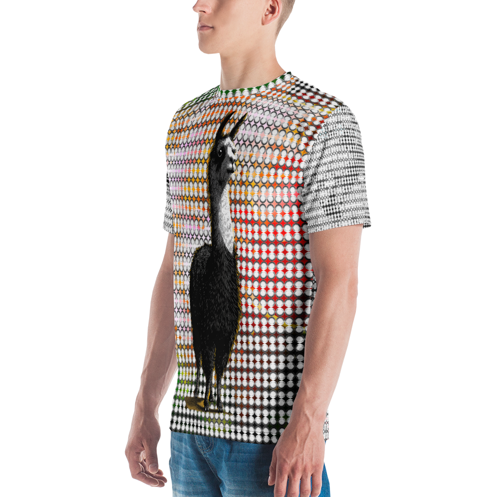 DoT LLAMA T