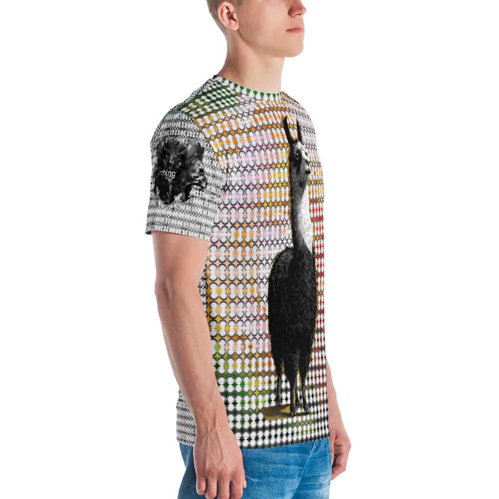 DoT LLAMA T